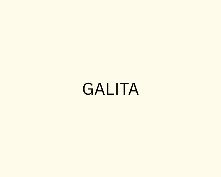 GALITA | Bold LA Women’s Fashion & Trend-Driven Styles