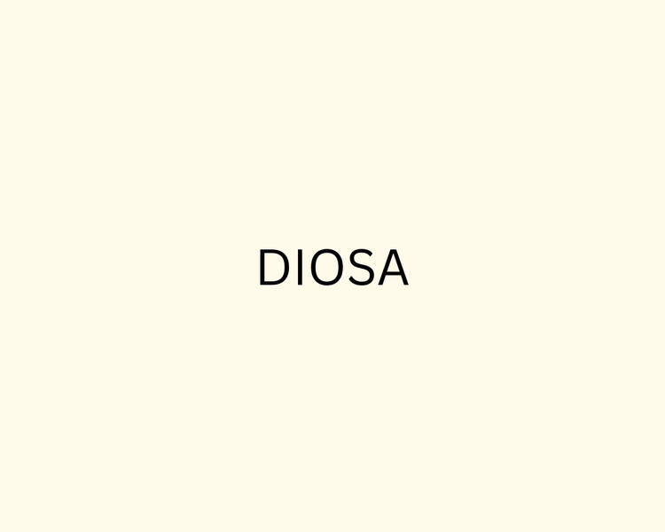 DIOSA logo in minimalist black text centered on a neutral beige background