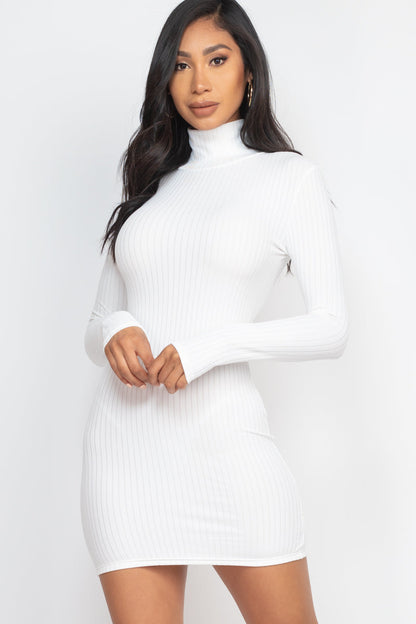 Bodycon Mini Dress with Ribbed Mock Neck