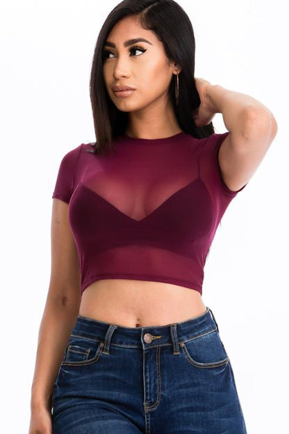 Short Sleeve Sheer Mesh Crop Tee