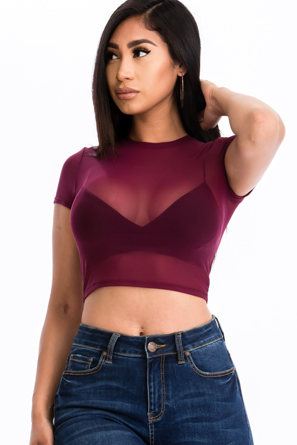 Mesh Sheer Short Sleeve Crop Top