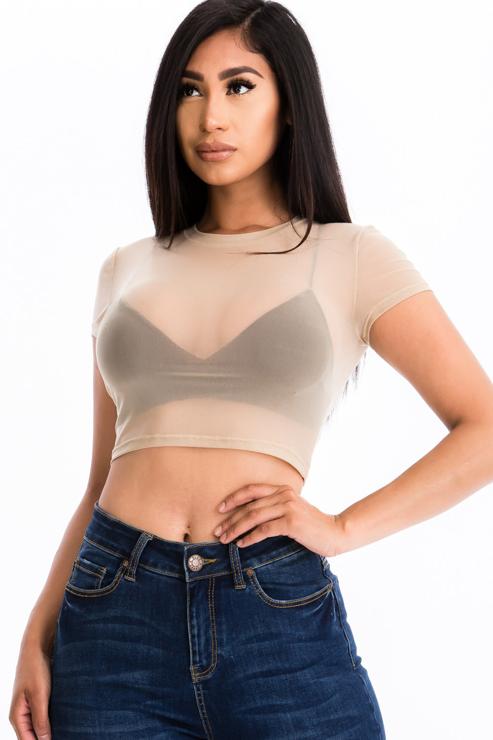 Short Sleeve Sheer Mesh Crop Tee