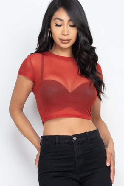 Short Sleeve Sheer Mesh Crop Tee